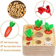 🌳Little Hands Harvest – Wooden Carrot Game for Smart Sorting & Sensory Fun - ThiGui