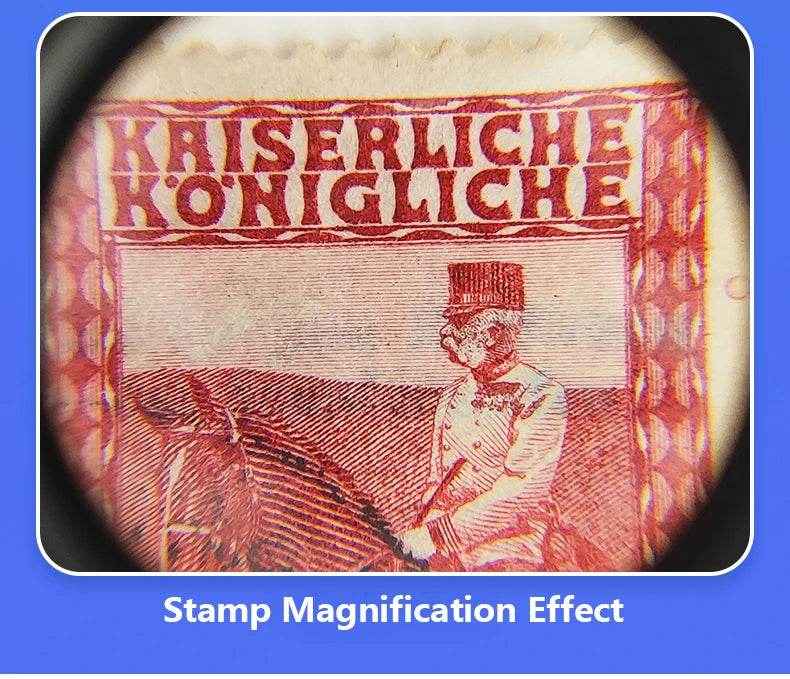 🔍 Bright Eyes, Tiny Details – Kids’ Foldable LED Magnifier for Curious Little Explorers! - ThiGui